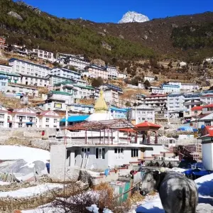 Explore Arun Valley Trek for 15 days with Himalayan Adventure Treks & Tours and discover unforgettable experiences - Photo 10