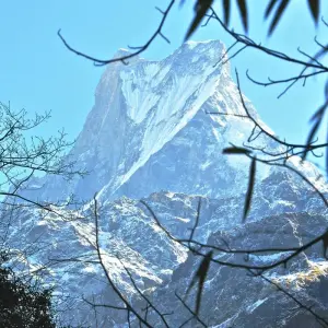 Explore Ghorepani Ghandruk Trek for 8 days with Himalayan Adventure Treks & Tours and discover unforgettable experiences - Photo 8