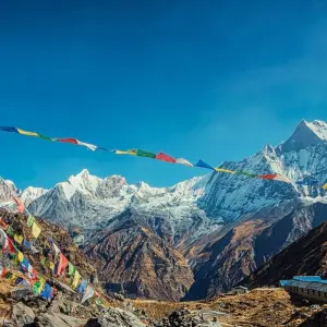 Explore Short Annapurna Base Camp Trek for 8 days with Himalayan Adventure Treks & Tours and discover unforgettable experiences - Photo 11