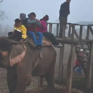 Explore Nepal Classic Tour for 12 days with Himalayan Adventure Treks & Tours and discover unforgettable experiences - Photo 10