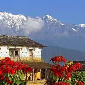 Explore Annapurna Base Camp Budget Trek -7 Days for 7 days with Himalayan Adventure Treks & Tours and discover unforgettable experiences - Photo 7