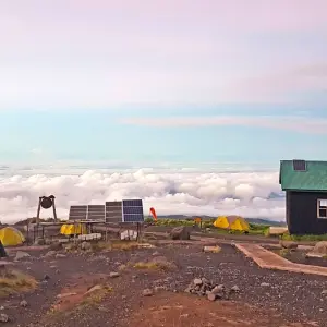 Explore Kilimanjaro Climb via Lemosho Route for 8 days with Himalayan Glacier Adventure and Travel Company and discover unforgettable experiences - Photo 3