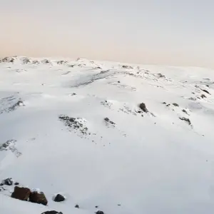 Explore Kilimanjaro Climb via Lemosho Route for 8 days with Himalayan Glacier Adventure and Travel Company and discover unforgettable experiences - Photo 6