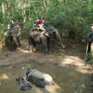 Explore 2 Night 3 Days Chitwan Jungle Safari Tour Package for 3 days with Himalayan Recreation Treks & Expedition Pvt.ltd and discover unforgettable experiences - Photo 2