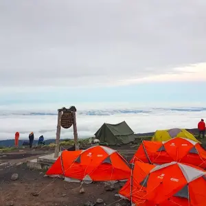 Explore Kilimanjaro climb via Umbwe route for 8 days with Himalayan Glacier Adventure and Travel Company and discover unforgettable experiences - Photo 7