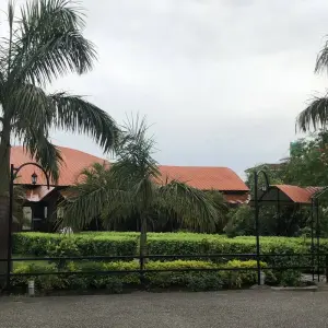 Explore 2 Night 3 Days Chitwan Jungle Safari Tour Package for 3 days with Himalayan Recreation Treks & Expedition Pvt.ltd and discover unforgettable experiences - Photo 5