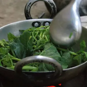 Explore 2 Night 3 Days Chitwan Jungle Safari Tour Package for 3 days with Himalayan Recreation Treks & Expedition Pvt.ltd and discover unforgettable experiences - Photo 6