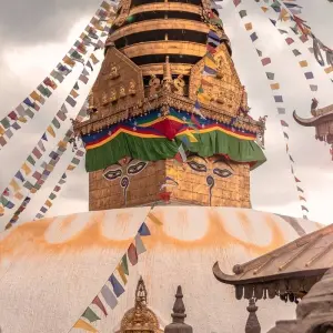 Explore Mardi Himal Yoga Trek for 8 days with Himalayan Recreation Treks & Expedition Pvt.ltd and discover unforgettable experiences - Photo 11