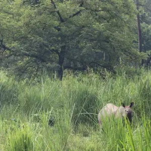Explore Nepal Reflection Tour | 9 Days in Nepal for 9 days with Himalayan Planet Adventures and discover unforgettable experiences - Photo 2