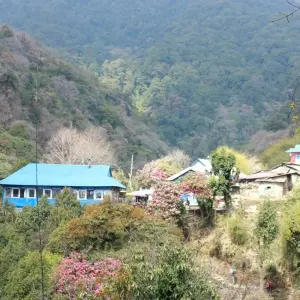 Explore Annapurna Base Camp Trek for 16 days with Himalayan Planet Adventures and discover unforgettable experiences - Photo 3