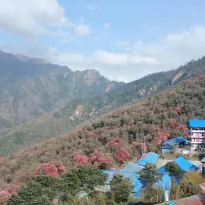 Explore Annapurna Skyline Trek - Nepal for 12 days with Himalayan Planet Adventures and discover unforgettable experiences - Photo 9