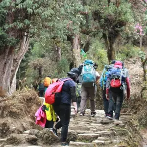 Explore Annapurna Base Camp Trek for 16 days with Himalayan Planet Adventures and discover unforgettable experiences - Photo 5