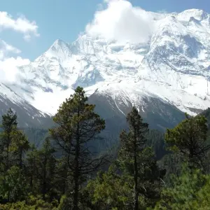 Explore Annapurna Base Camp Trek for 16 days with Himalayan Planet Adventures and discover unforgettable experiences - Photo 6