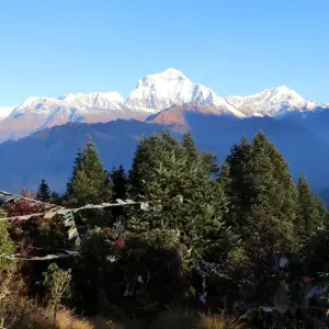 Explore Poon Hill Trek around Annapurna Himalayas for 9 days with Himalayan Planet Adventures and discover unforgettable experiences - Photo 8