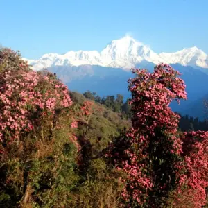 Explore Annapurna Base Camp Trek for 16 days with Himalayan Planet Adventures and discover unforgettable experiences - Photo 9