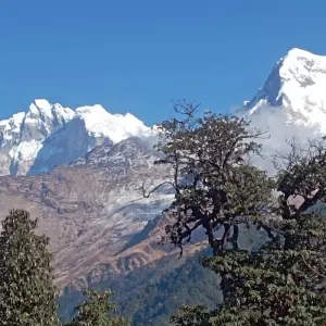 Explore Ghorepani Poon Hill Trek with Wildlife Adventure for 12 days with Himalayan Sanctuary Adventure and discover unforgettable experiences - Photo 3
