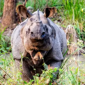 Explore Family Tour in Nepal for 8 days with Himalayan Sanctuary Adventure and discover unforgettable experiences - Photo 7