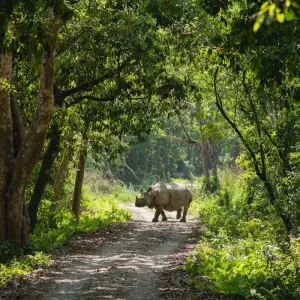 Explore Family Tour in Nepal for 8 days with Himalayan Sanctuary Adventure and discover unforgettable experiences - Photo 10