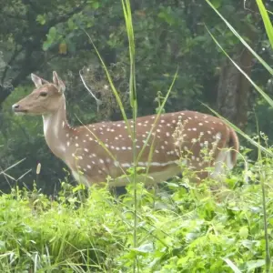 Explore Luxury Tour for 8 days with Himalayan Sanctuary Adventure and discover unforgettable experiences - Photo 6