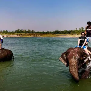 Explore Explore Kathmandu Chitwan Pokhara for 8 days with Himalayan Sanctuary Adventure and discover unforgettable experiences - Photo 4