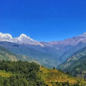 Explore Dhampus Trek with Kathmandu Sightseeing - 8 Days for 8 days with Himalayan Sanctuary Adventure and discover unforgettable experiences - Photo 5