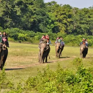 Explore Luxury Chitwan  Pokhara Tour for 5 days with Himalayan Sanctuary Adventure and discover unforgettable experiences - Photo 5