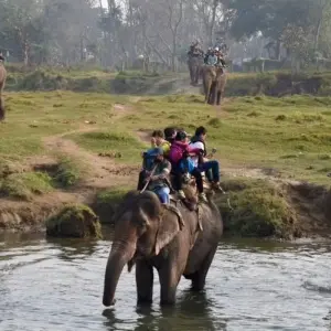 Explore Explore Kathmandu Chitwan Pokhara for 8 days with Himalayan Sanctuary Adventure and discover unforgettable experiences - Photo 7