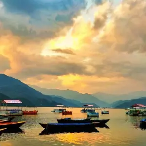 Explore Luxury Chitwan  Pokhara Tour for 5 days with Himalayan Sanctuary Adventure and discover unforgettable experiences - Photo 8