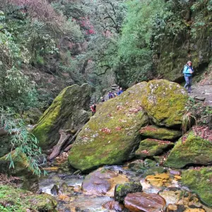 Explore Ghorepani - Poonhill Trek for 4 days with Himalayan Social Journey and discover unforgettable experiences - Photo 3