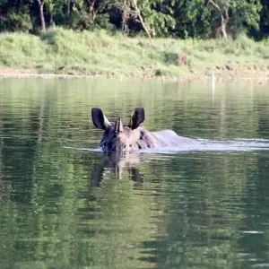 Explore 12 Days Budget Nepal Trip with Rafting for 12 days with Himalayan Social Journey and discover unforgettable experiences - Photo 2