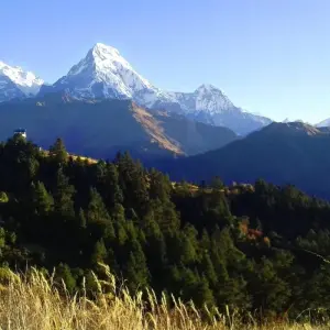 Explore Ghorepani - Poonhill Trek for 4 days with Himalayan Social Journey and discover unforgettable experiences - Photo 7