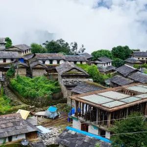 Explore Ghorepani - Poonhill Trek for 4 days with Himalayan Social Journey and discover unforgettable experiences - Photo 8