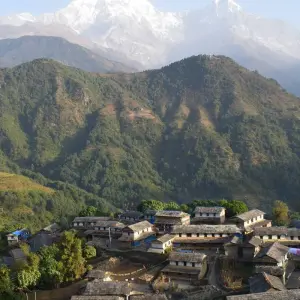 Explore Ghorepani - Poonhill Trek for 4 days with Himalayan Social Journey and discover unforgettable experiences - Photo 9