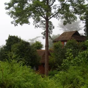 Explore From Kathmandu: Dhulikhel to Namobuddha Guided Day Hike for 1 days with Himalayan Trekking & Tours and discover unforgettable experiences - Photo 5