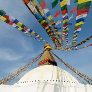 Explore Kathmandu Pokhara Chitwan Tour 7 Nights 8 Days for 8 days with Himalayan Trekking & Tours and discover unforgettable experiences - Photo 3