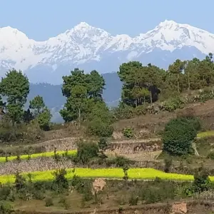 Explore From Kathmandu: Dhulikhel to Namobuddha Guided Day Hike for 1 days with Himalayan Trekking & Tours and discover unforgettable experiences - Photo 9