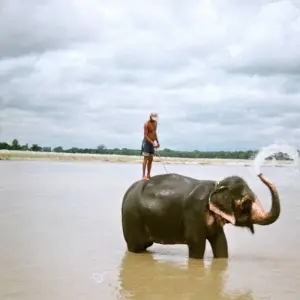 Explore Kathmandu Pokhara Chitwan Tour 7 Nights 8 Days for 8 days with Himalayan Trekking & Tours and discover unforgettable experiences - Photo 6