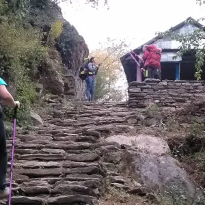 Explore Mardi Himal Trek for 11 days with Himalayan Trekking Path P.Ltd and discover unforgettable experiences - Photo 5