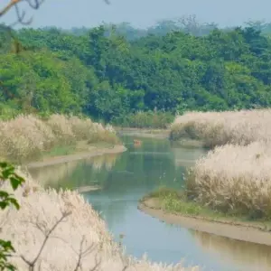 Explore Bardiya Safari Tour (Private Tour) for 4 days with Himalayan Trekking Path P.Ltd and discover unforgettable experiences - Photo 3