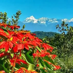 Explore Chisapani Nagarkot Trek (Private Tour) for 3 days with Himalayan Trekking Path P.Ltd and discover unforgettable experiences - Photo 5