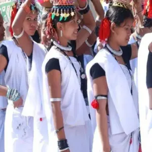 Explore Chitwan Jungle safari tour: 2 Nights/3 Days for 3 days with Himalayan Trekking Path P.Ltd and discover unforgettable experiences - Photo 5