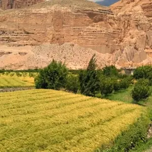 Explore Upper Mustang Trekking for 17 days with Himalayan Trekking Path P.Ltd and discover unforgettable experiences - Photo 8