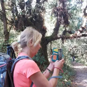 Explore Shivapuri Hiking in Kathmandu- The best hike in Kathmandu: 7 hours (Private Tour) for 1 days with Himalayan Trekking Path P.Ltd and discover unforgettable experiences - Photo 4