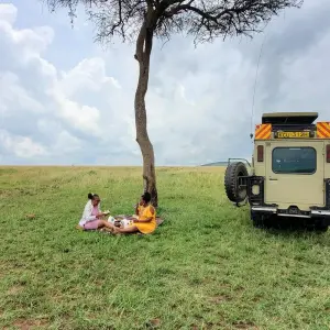 Explore Africa Savannah & Beach Safari for 12 days with Holiday Destination Safaris and discover unforgettable experiences - Photo 5