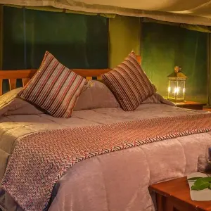 Explore 8 Day The Mara Serengeti Safari for 8 days with Holiday Destination Safaris and discover unforgettable experiences - Photo 2