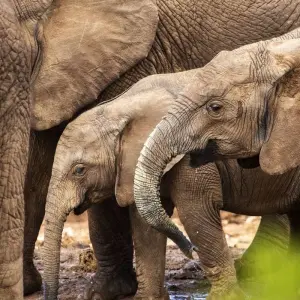 Explore Kenya-Tanzania Safari for 6 days with Holiday Destination Safaris and discover unforgettable experiences - Photo 3