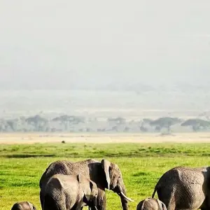 Explore 6 Day Kenya Cultural Safari for 6 days with Holiday Destination Safaris and discover unforgettable experiences - Photo 2