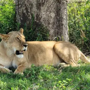 Explore Africa Savannah & Beach Safari for 12 days with Holiday Destination Safaris and discover unforgettable experiences - Photo 7