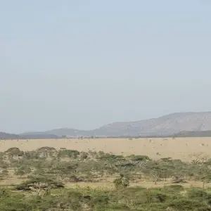 Explore Exploration Safari of Kenya & Tanzania for 8 days with Holiday Destination Safaris and discover unforgettable experiences - Photo 3