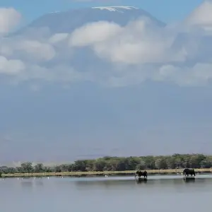 Explore Africa Savannah & Beach Safari for 12 days with Holiday Destination Safaris and discover unforgettable experiences - Photo 9